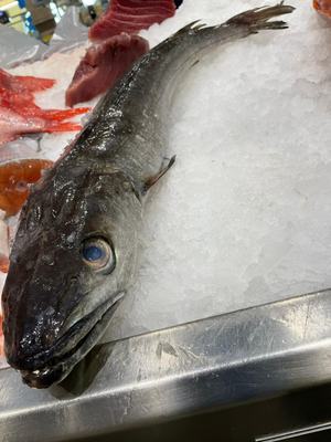 Pescada