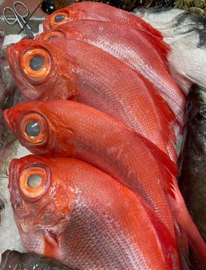 Palometa vermella