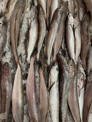 Pescadiñas