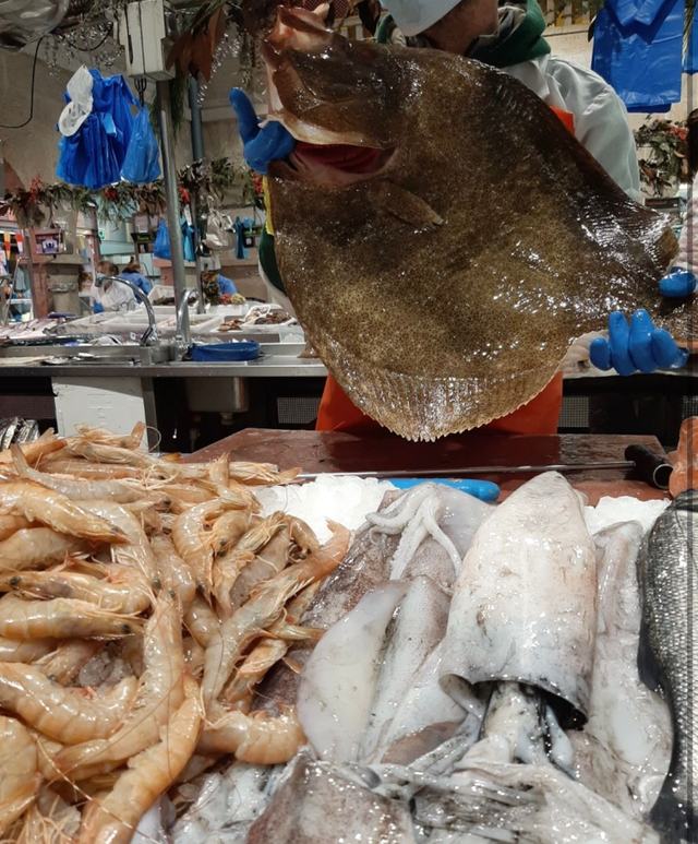 Rodaballo