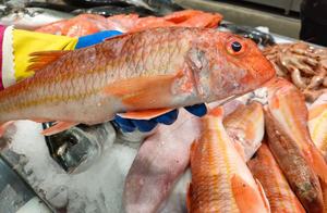 Salmonete